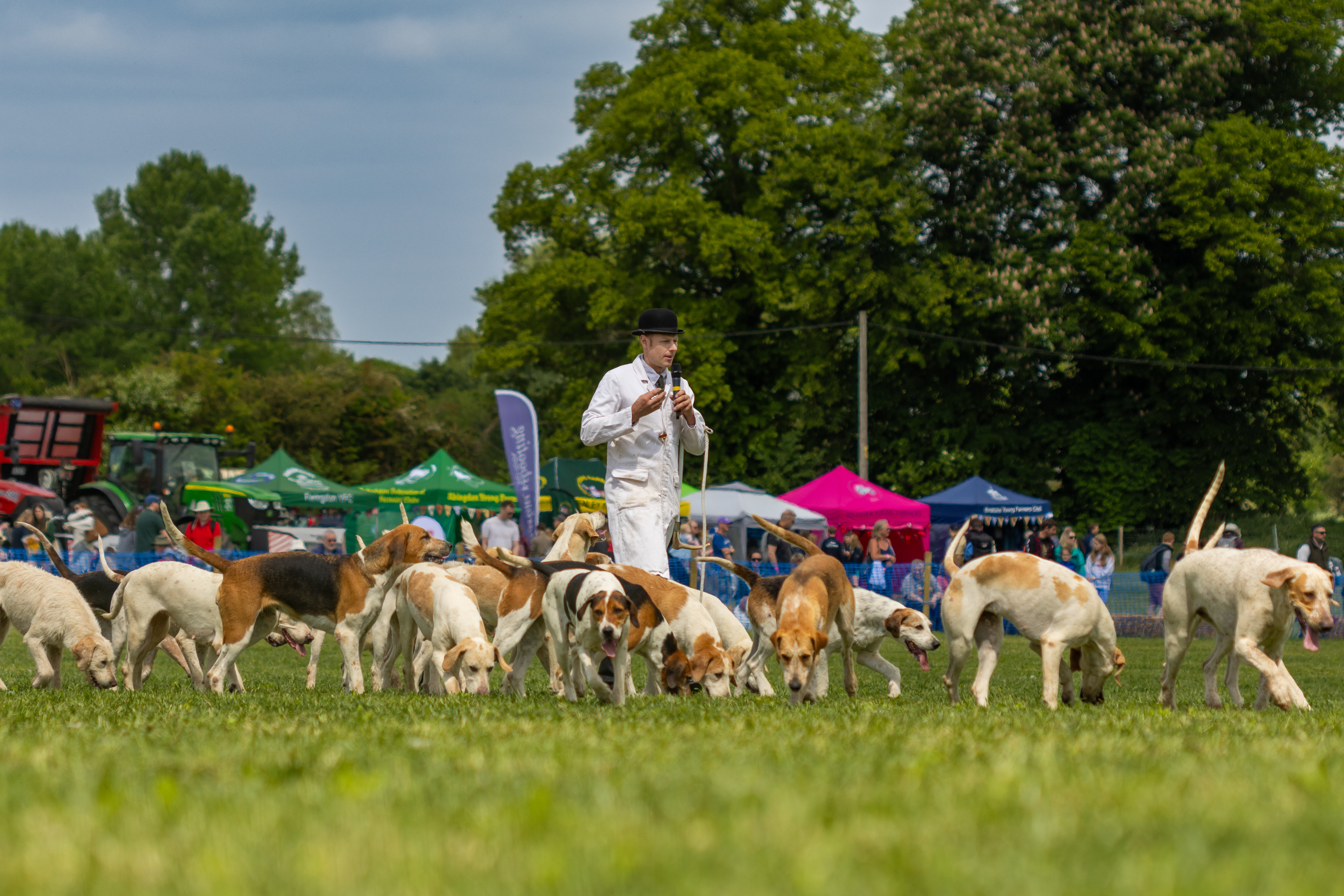Old Berkshire Hounds