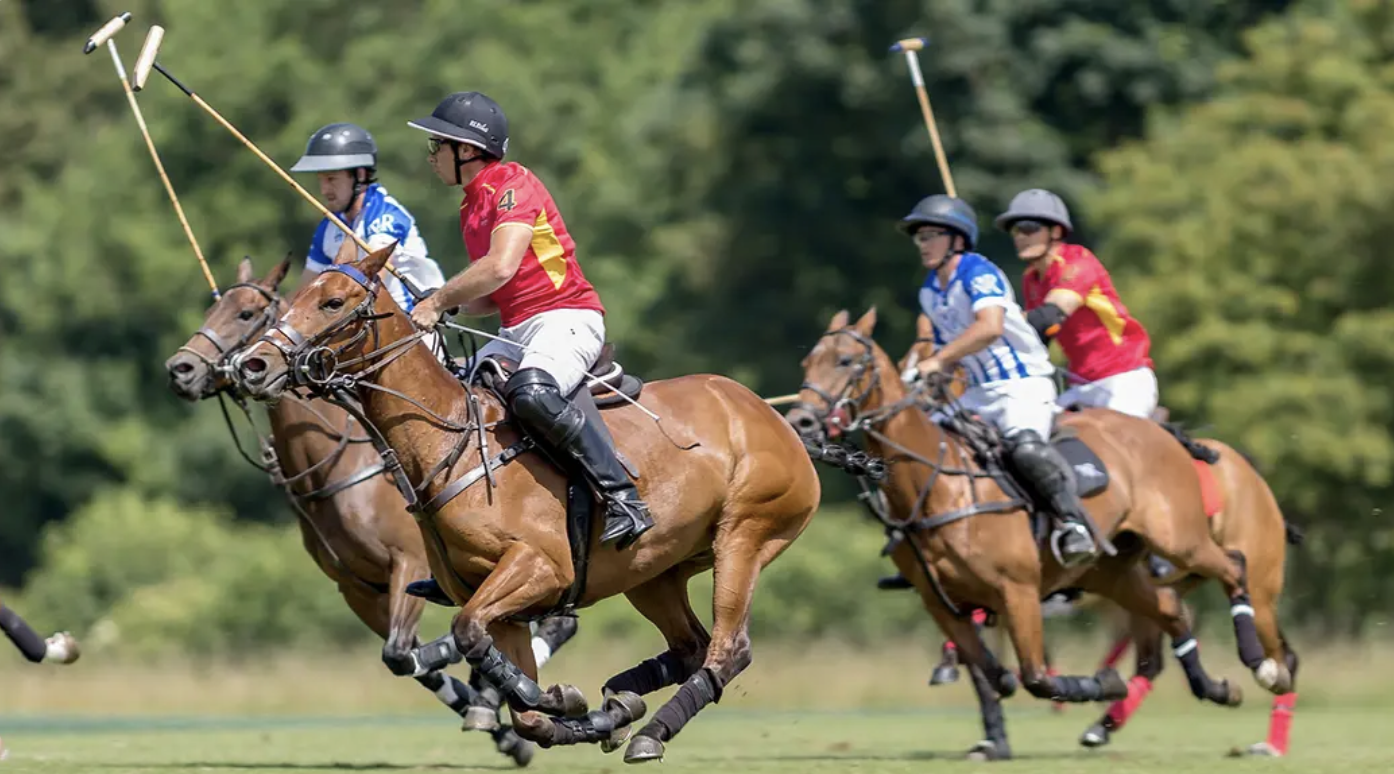 Polo Demonstration